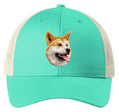 embroidered akita cap