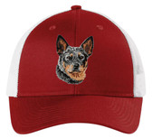 embroidered australian cattle dog cap