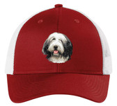 embroidered bearded collie cap