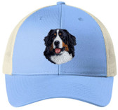 embroidered bernese mountain dog cap