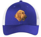 embroidered bloodhound cap