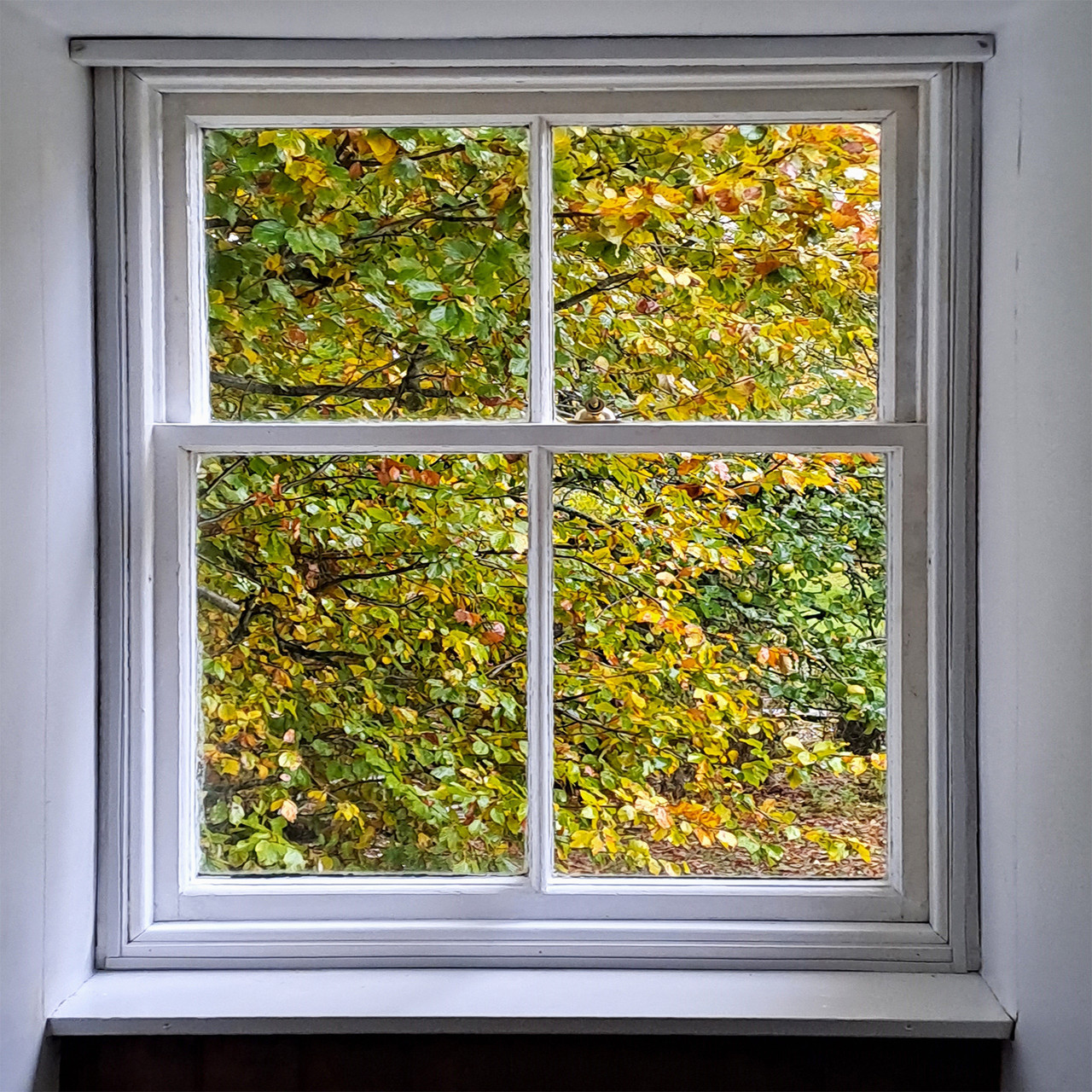 Secondary Glazing