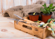 5 Ways To Get Your Garden Ready For The Summer