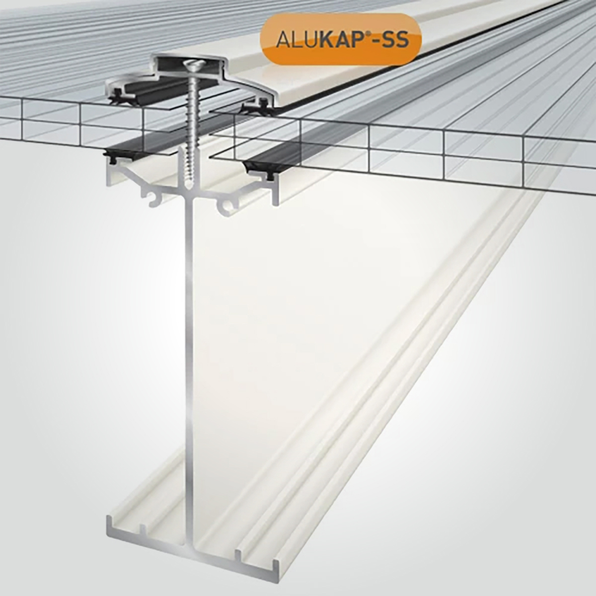 Alukap SS – Glazing Bars