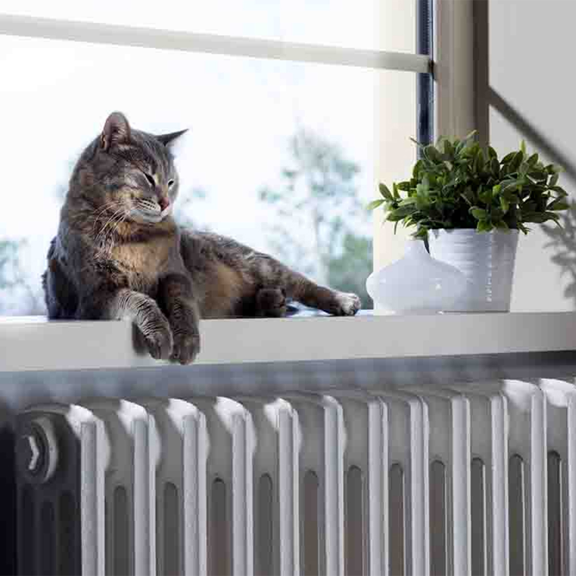 keeping warm