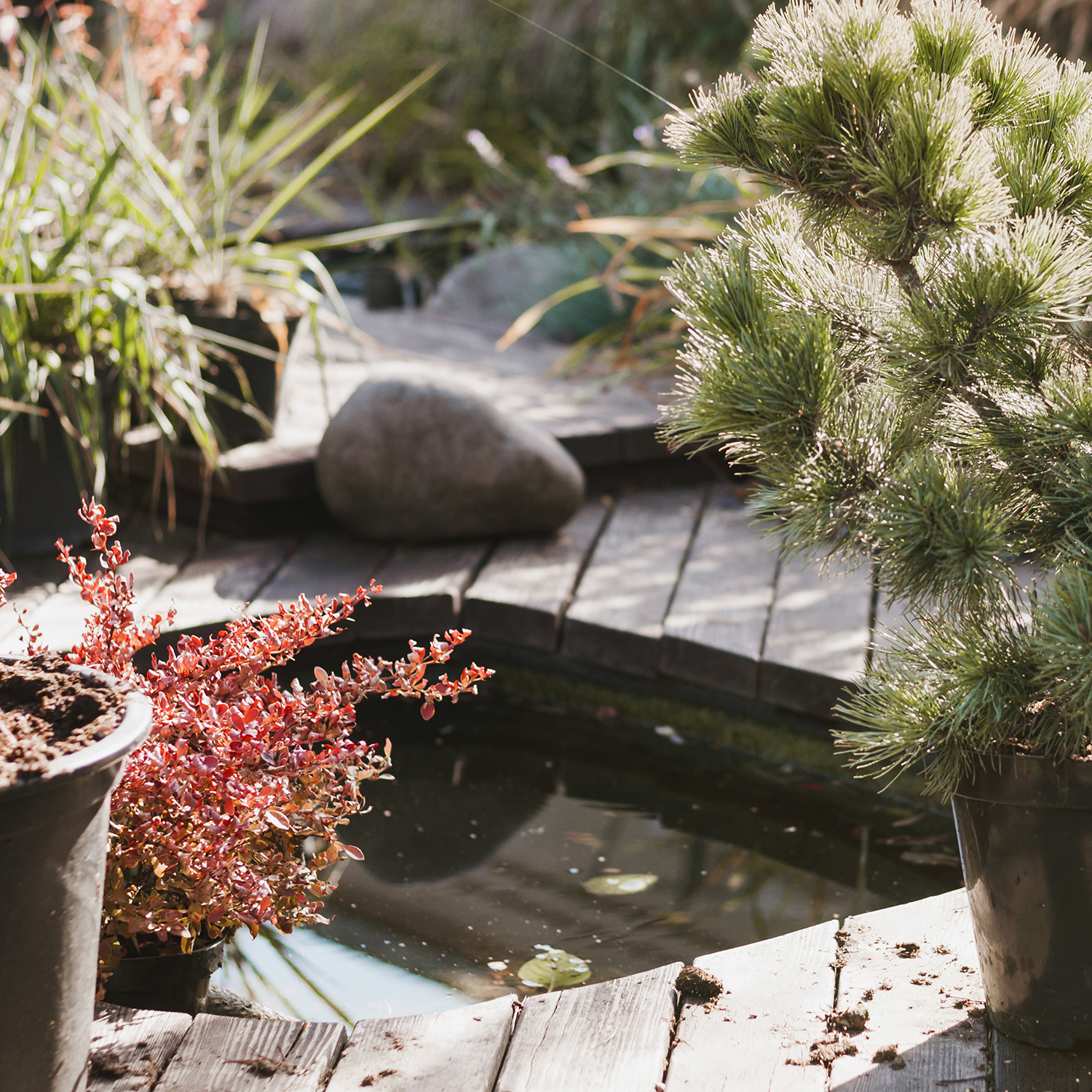 5 Sustainable Improvements For A Greener Home