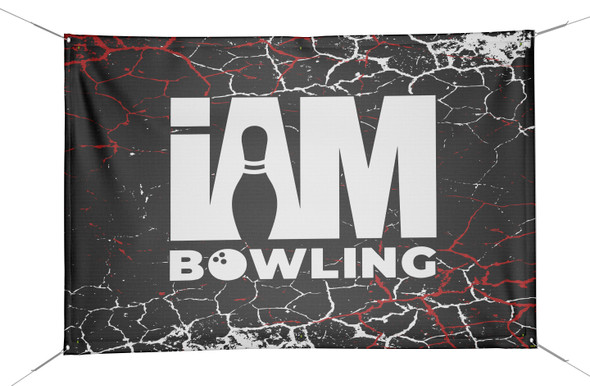Seismic Banner