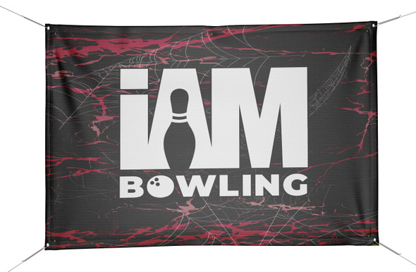 Pink Spider Web Banner