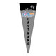 Jr Gold 2023 Official DS Bowling Pennant - JG095