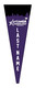 Jr Gold 2022 Official DS Bowling Pennant - JG067-PP