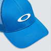 Oakley hat
