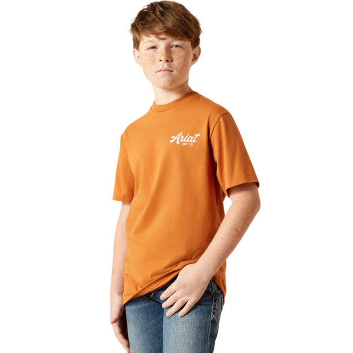 Ariat t-shirts