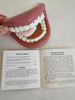Jumbo Mighty Mouth Hand Puppet (with teaching instructions & brush)