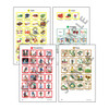 Webber MINI Vocabulary Nouns Photo Cards Webber MINI Vocabulary Nouns Photo Cards
