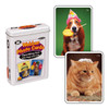 Webber Photo Cards, describing fun with dogs and cats, featuring images of a dog wearing a party hat with a lollipop and a relaxed orange tabby cat with a mouse toy on its back.