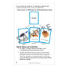 Triple Talk Vocabulary Cards
