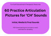 Fun Stuff Educational 60 Practice Articulation Pictures for 'CH' Sounds - Download