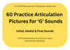 Fun Stuff Educational 60 Practice Articulation Pictures for 'G' Sounds - Downloadable