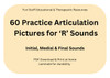 Practice Articulation Pictures for R Sounds, educational and therapeutic resource with 60 practice images for initial, medial, and final sounds, printable PDF downloadable material.