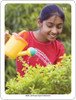 Childrens Gardening Toy, Girl watering plants with a yellow watering can in her garden.