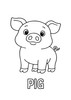 35 Animals Coloring Pages - Far, Zoo plus Australian Animals -Download