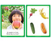 Educational flashcard featuring an apple, cucumber, banana, radish, and hot dog, used for teaching children about fruits and vegetables.