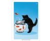 Webber Photo Cards - Story Starters