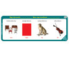 Phonological Awareness Skill Strips