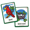 Educational flashcards, bird and bird nest, illustrated cards showing a colorful bird perched on a branch and a bird nest with eggs.