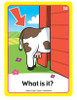 Understanding Inferences Fun Deck