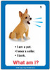 Pet training card, plush dog toy with speech bubbles indicating barking sound, used for teaching pets commands and communication. Pet training card, plush dog toy with speech bubbles indicating barking sound, used for teaching pets commands and communication.