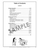 Table of Contents page from 'Say & Do' Auditory Lessons, featuring sections on Auditory Association, Discrimination, Memory, Reception, and Awards, with an illustration of a teacher and children at the bottom.