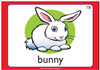 Bunny, children's educational card showing a cute white rabbit with pink ears and blue eyes on a green background. Bunny, children's educational card showing a cute white rabbit with pink ears and blue eyes on a green background.