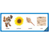 Articulation Skill Strips - S and S Blends