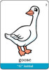 Webber Articulation Cards Set 2