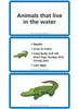 Educational poster about aquatic animals, features information about reptiles that live in water with an illustration of a crocodile. Educational poster about aquatic animals, features information about reptiles that live in water with an illustration of a crocodile.