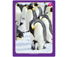 Penguins, group of Emperor penguins with a chick on snowy landscape. Penguins, group of Emperor penguins with a chick on snowy landscape.