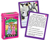 Educational Card Game, Fun Deck featuring Emperor penguins with science facts and quiz questions about penguin habitat and behavior. Educational Card Game, Fun Deck featuring Emperor penguins with science facts and quiz questions about penguin habitat and behavior.