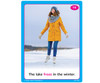Photo Irregular Verbs Fun Deck