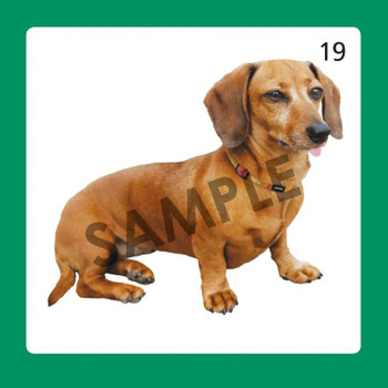 Webber MINI Vocabulary Nouns Photo Cards
