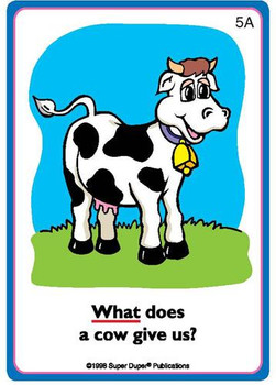 Question & Answer Card Game, colorful question cards for children about 'What?', 'When?', 'Where?', 'Who?', and 'Why?' with illustrations and example questions for educational fun.