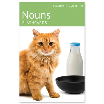 Flashcards for learning nouns, including images of a vacuum cleaner, tree, and cat, with a model of a household appliance and a box of noun flashcards.