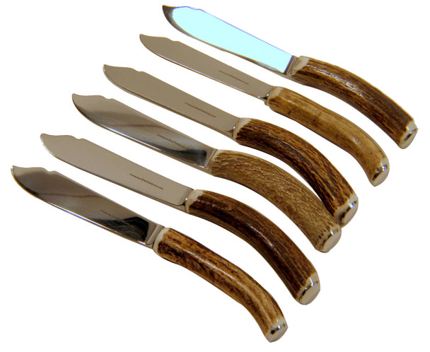 Set / 6 Fish Knives with Horn Handles (C379A)