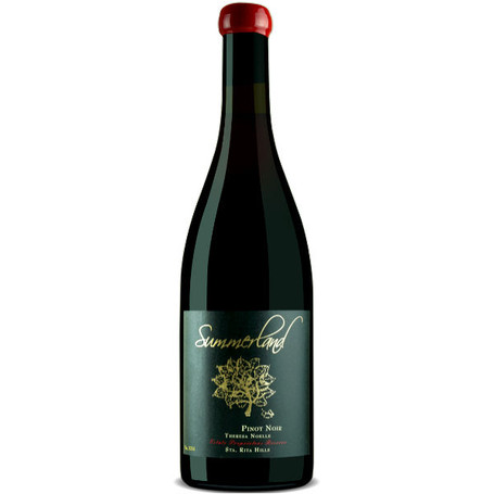 アールビバン版画てぃんくるCE 版 PINOT NOIR MADREPERLA Amazon.co.jp: アールビバン版画てぃんくるCE 版 PINOT NOIR