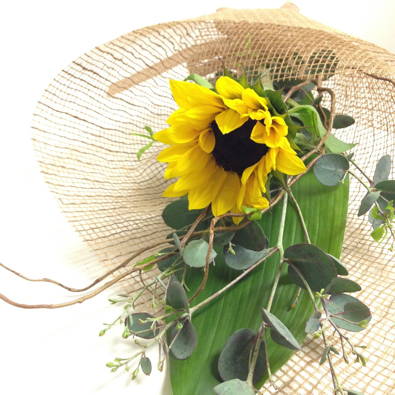 Flowers Dunedin Amaryllis for Flowers