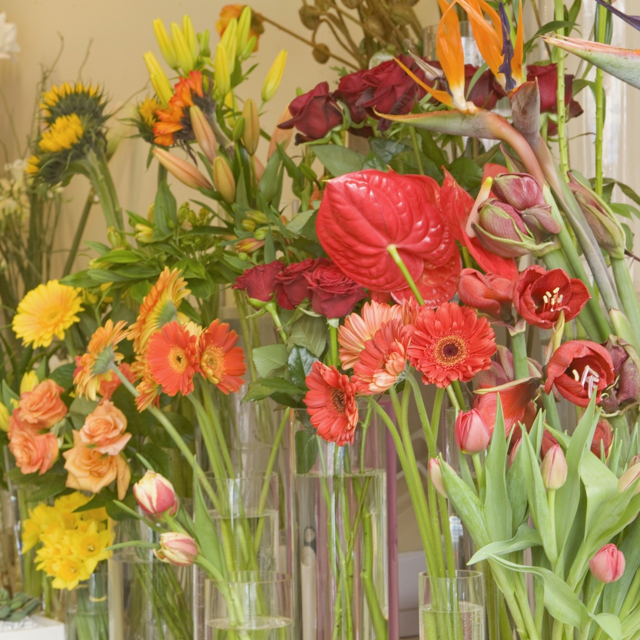 Florist Dunedin, Online Flower Shop, Flower Delivery NZ