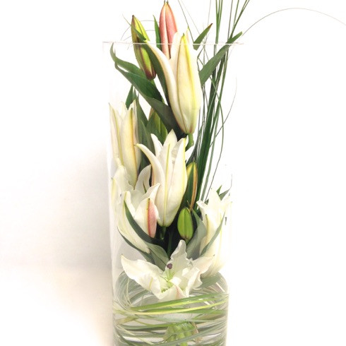 Florist Dunedin, Online Flower Shop, Flower Delivery NZ