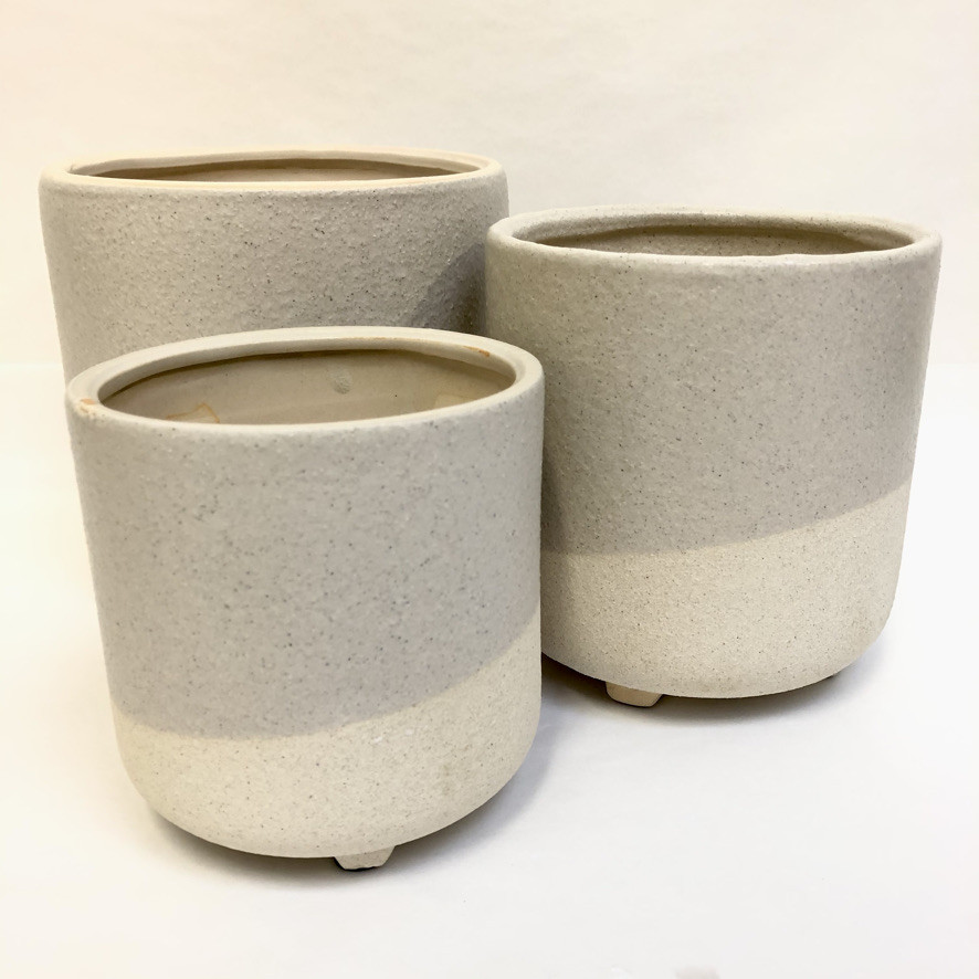 Florist Dunedin, Online Flower Shop, Flower Delivery NZ