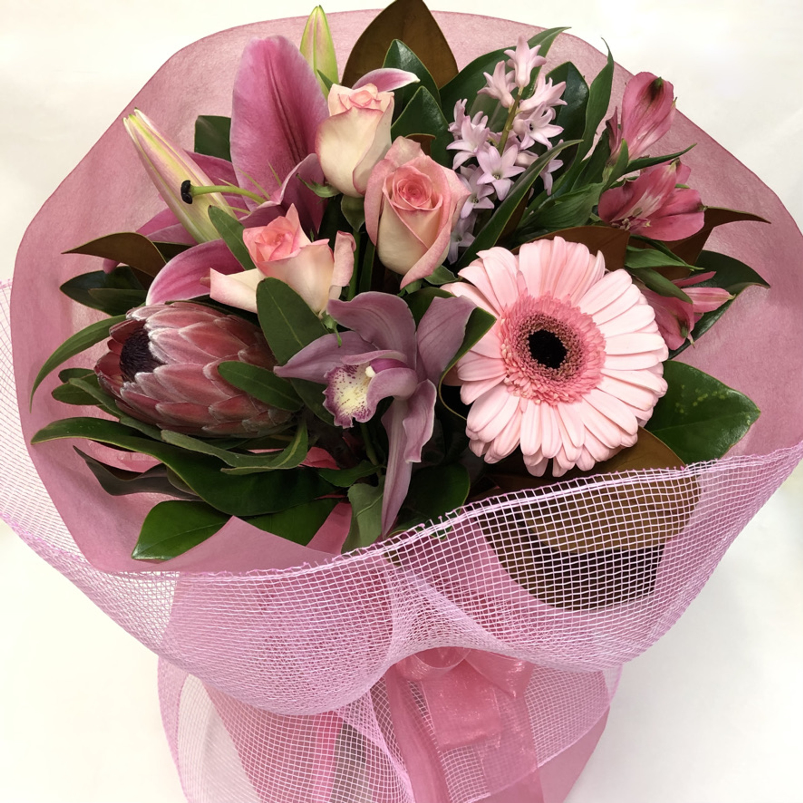 Flowers Dunedin Amaryllis for Flowers