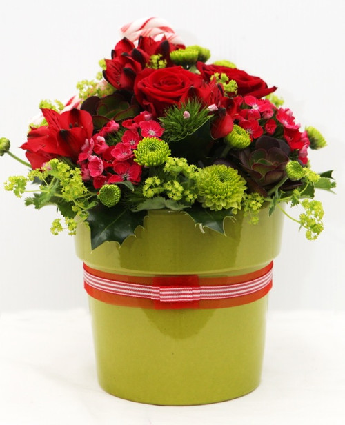 Sweet Christmas Arrangement